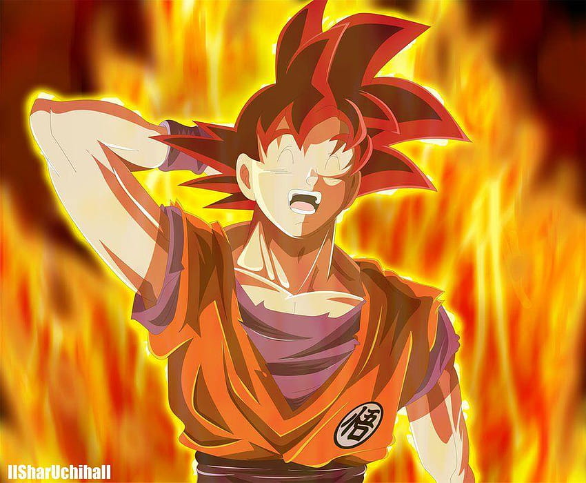 Goku ssj Dios : Happy by IISharUchihaII HD wallpaper