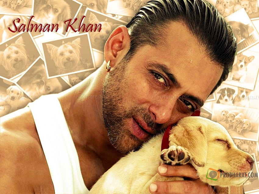 Salman Khan Latest Group, salman khan veer HD wallpaper