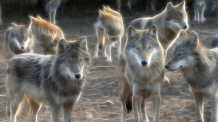 4 Lobo animado, familia de lobos fondo de pantalla | Pxfuel