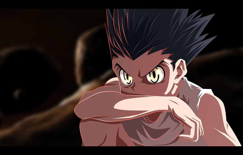 : hunter x hunter gon css, studio shot, white, adult gon HD wallpaper