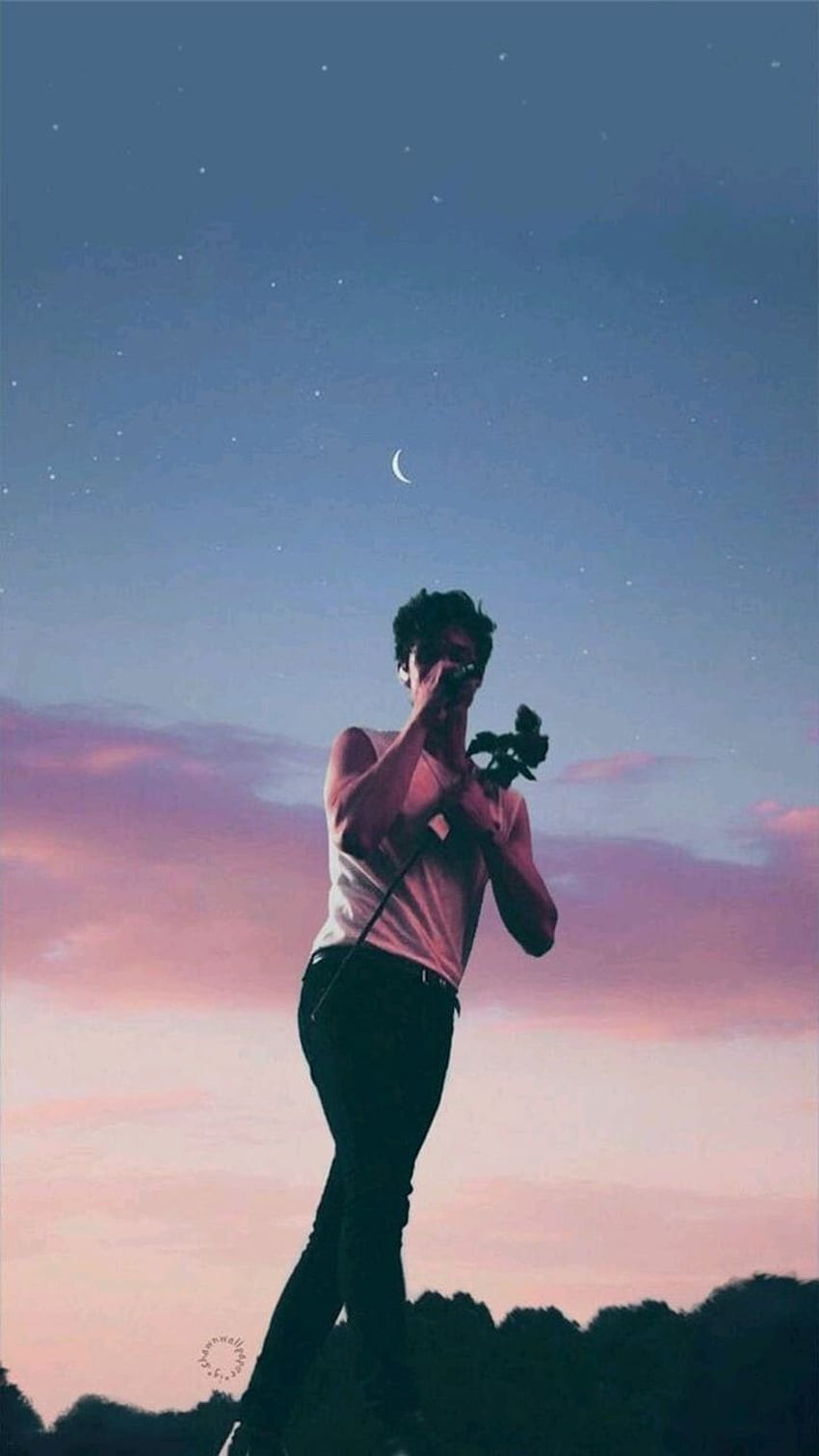 sky , aesthetic, shawn mendes and, shawn mendes concert HD phone wallpaper