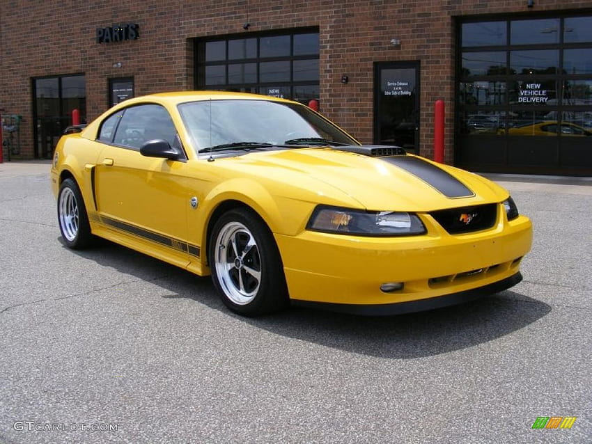 2004 Screaming Yellow Ford Mustang Mach 1 Coupe, 2004 ford mustang mach 1 HD wallpaper