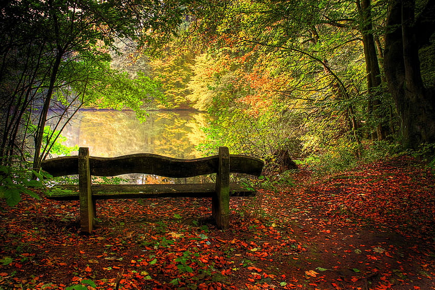 Autumn, cool foliage HD wallpaper