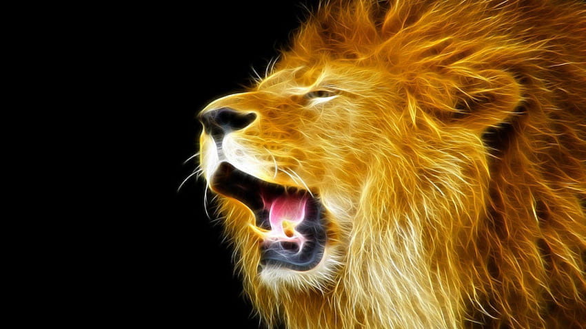 lion hd wallpapers 1080p
