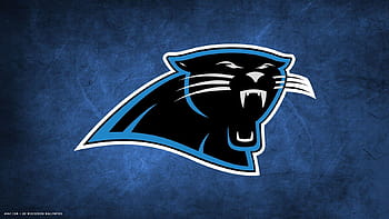 Panthers unveil custom wallpapers in team app