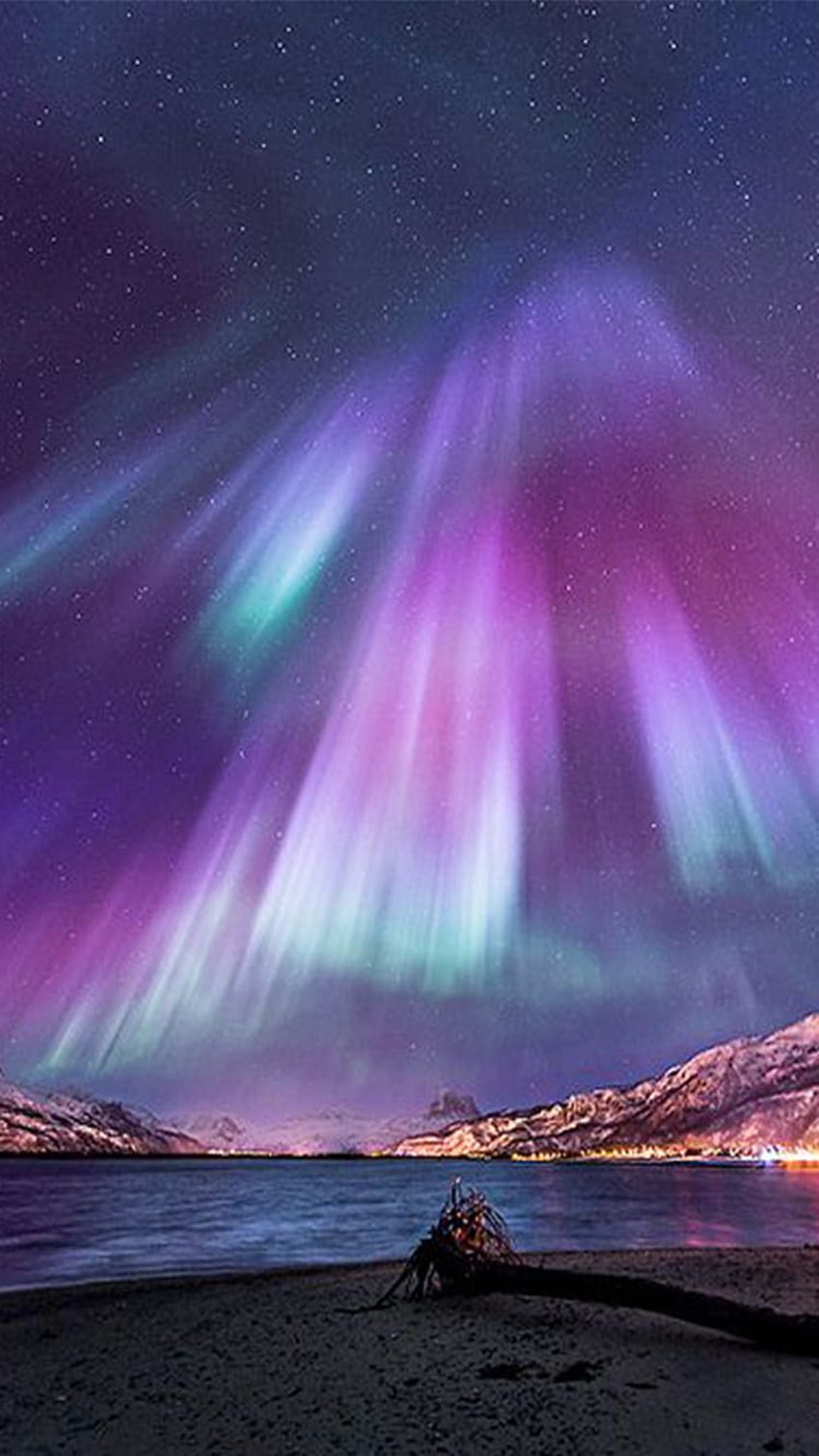 Purple Northern Lights on Dog, finland iphone HD phone wallpaper