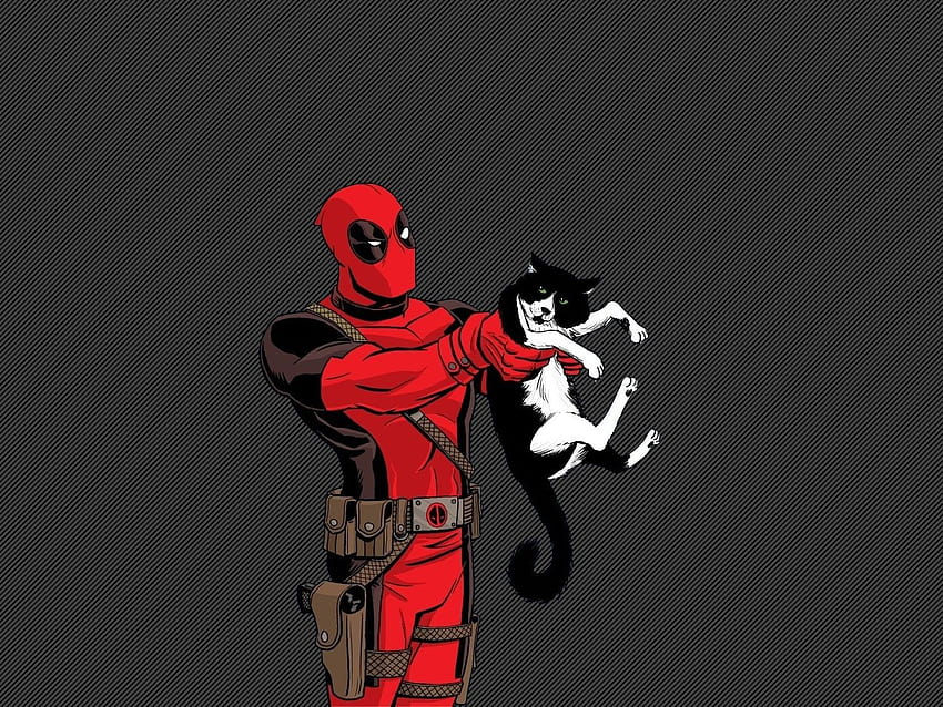 Deadpool holding a cat 1400x1050, cat deadpool HD wallpaper