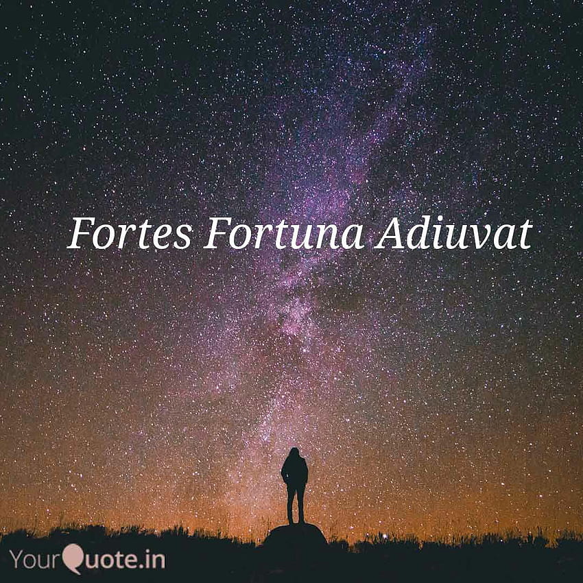 Fortes Fortuna Adiuvat, fortis fortuna adiuvat HD phone wallpaper