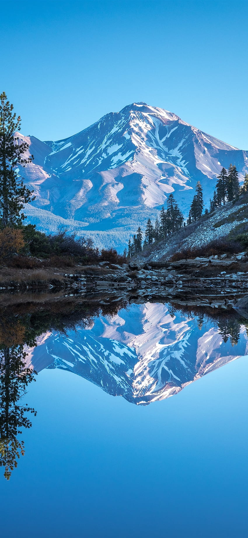 California, Mount Shasta, lago, montagne, alberi, riflesso sull'acqua, USA 1242x2688 iPhone 11 Pro/XS Max Sfondo del telefono HD