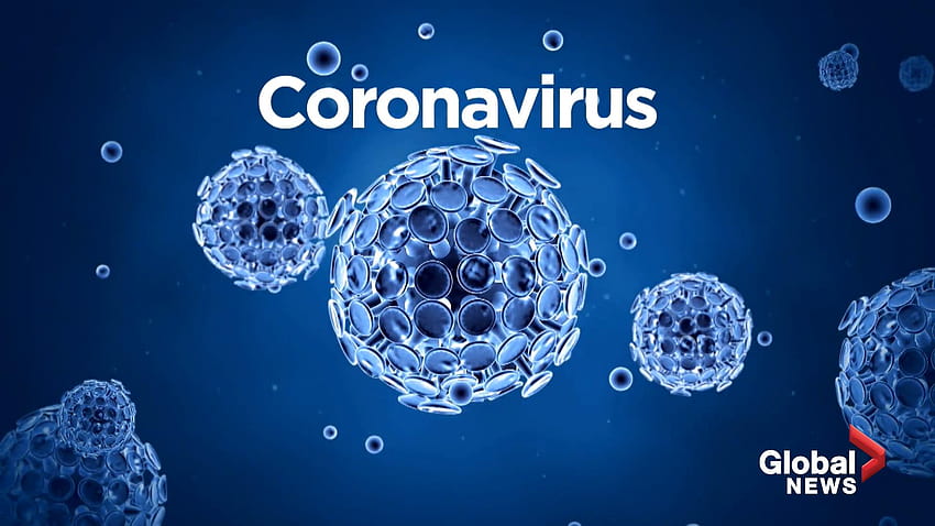 A backgrounds on the coronavirus and its symptoms, corona virus HD wallpaper