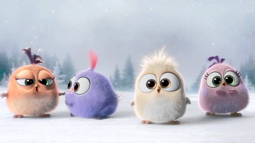 Angry Birds Hatchlings Holiday Trailer, pássaros irritados fofos papel de parede HD