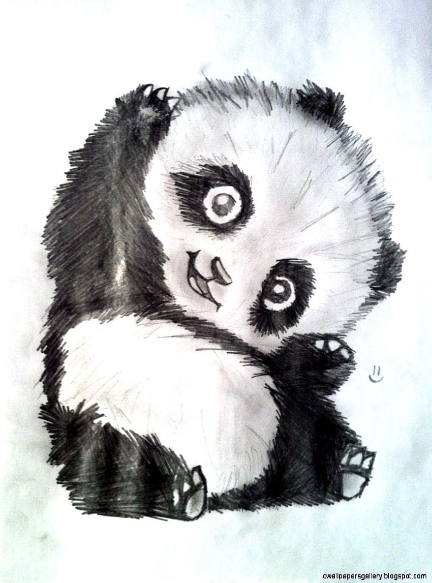 Cute panda drawing tumblr HD wallpapers | Pxfuel
