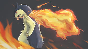 typhlosion wallpaper 1920x1080