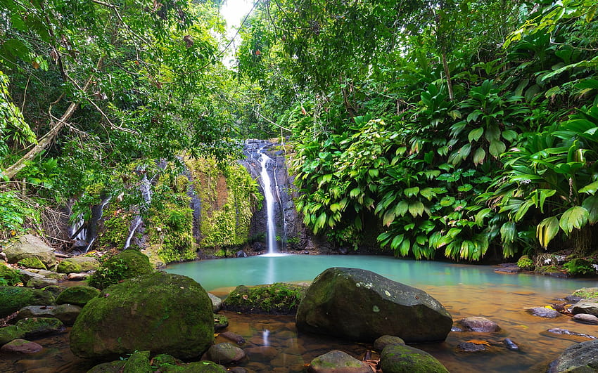 Guadeloupe, water cascades in paradise HD wallpaper