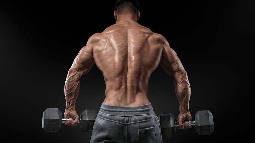 Bodybuilding, exercise, motivation, Training, back, bench standing, barbell, Sport HD wallpaper