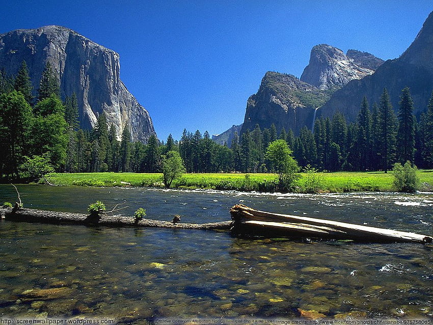 Yosemite National Park Group, yosemite valley morning fog HD wallpaper