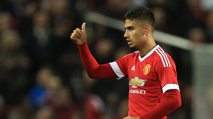 Andreas Pereira signs new Manchester United deal after joining HD wallpaper
