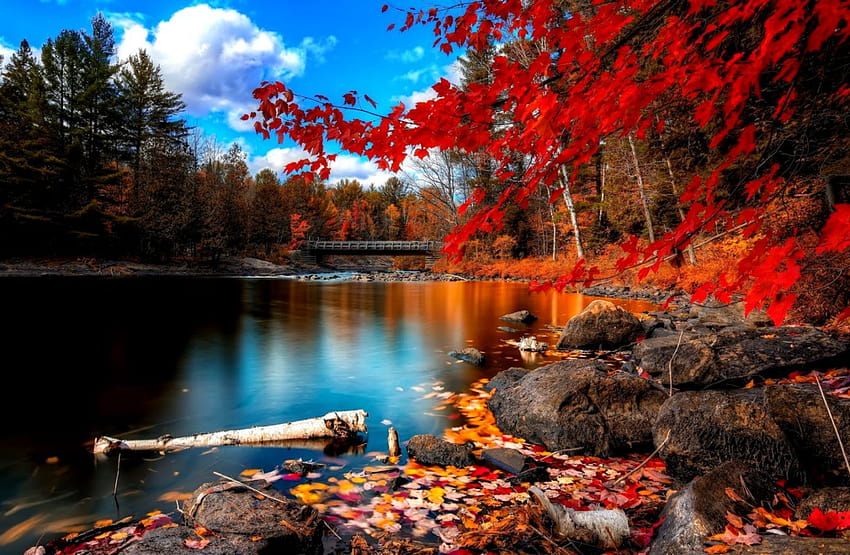 Пейзаж на есенна гора с висока разделителна способност HD тапет