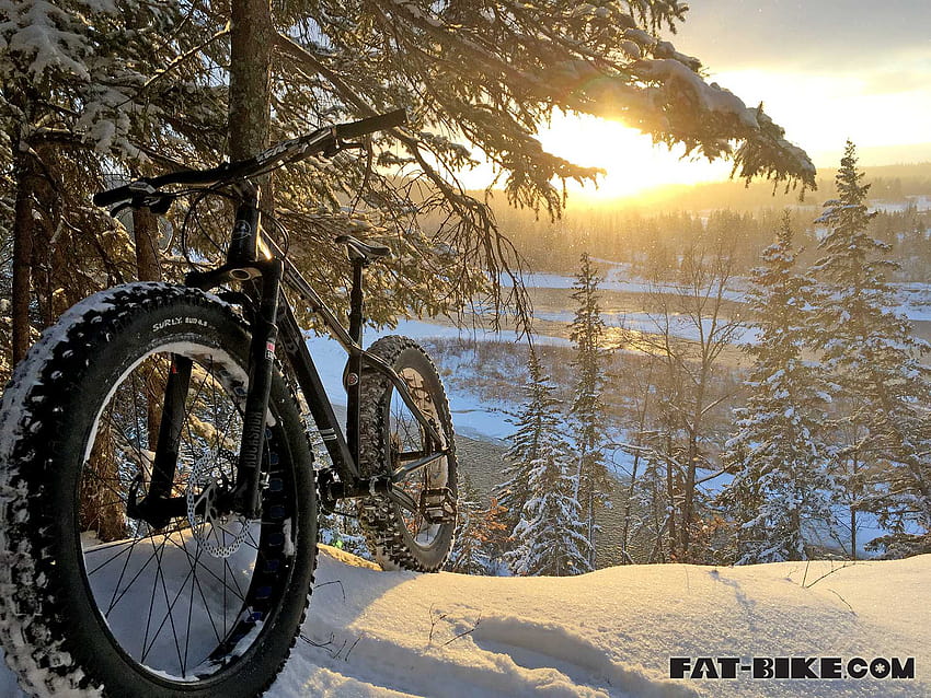 Miércoles – Nieve fresca en Red Deer Alberta, bicicleta de invierno fondo de pantalla