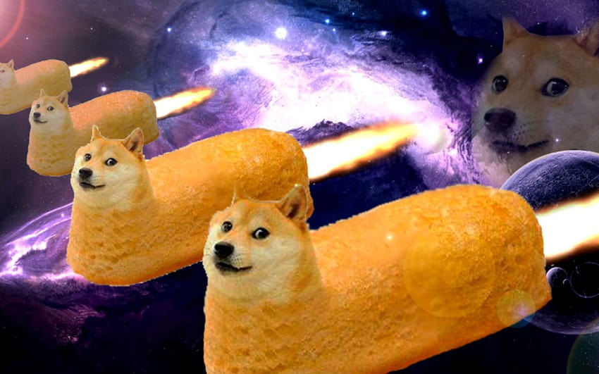Doge gepostet von Zoey Simpson, Galaxy Doge HD-Hintergrundbild
