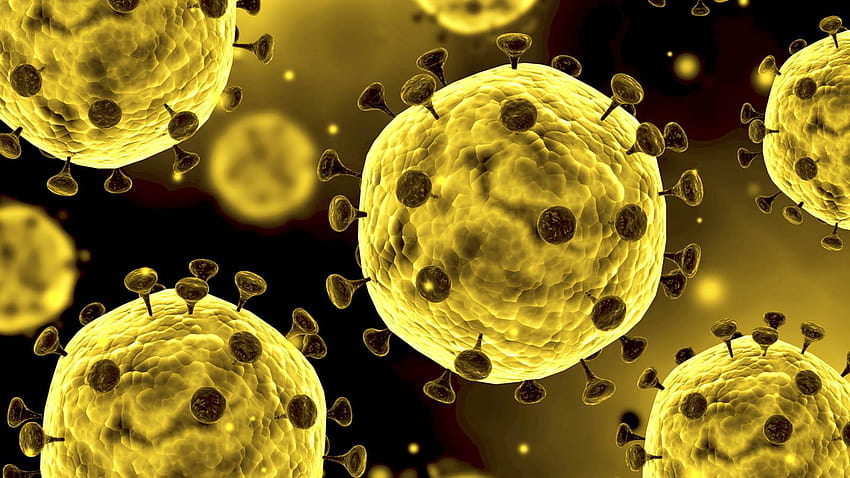 What Is Coronavirus?, corona virus HD wallpaper