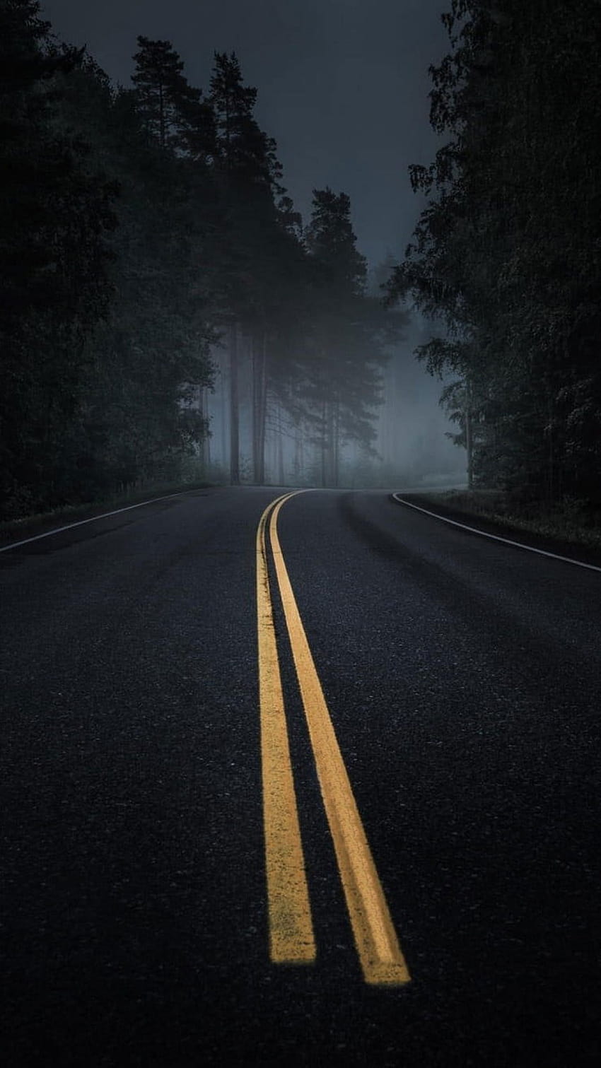 Carretera, Niebla, Oscuridad, Asfalto, Noche, Pinos, Bosque • For You For & Mobile, carretera oscura con niebla fondo de pantalla del teléfono