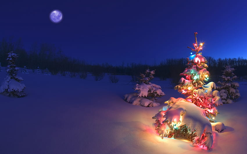 Of A Christmas Tree In Snowy Night World [1920x1200] untuk , Ponsel & Tablet Anda, hutan natal yang gelap Wallpaper HD