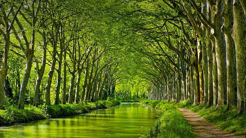 Bing fotos Canal du Midi in late spring Toulouse Haute Garonne [1366x768] for your , Mobile & Tablet HD wallpaper