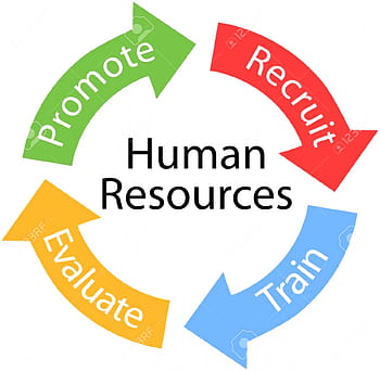 Organization Human Resource Management France Leadership PNG Clipart  Circle Communication Computer Wallpaper Corporate Social Responsibility  Customer