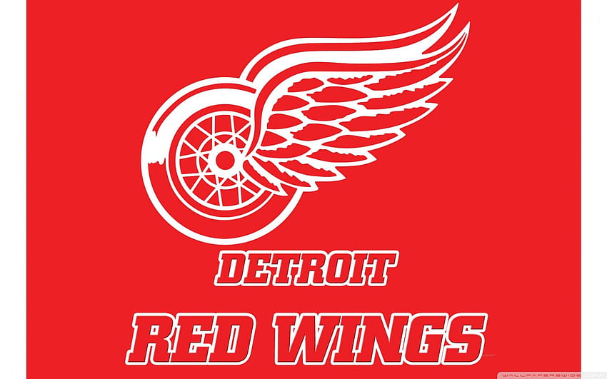 พื้นหลังพิเศษ Detroit Red Wings สำหรับ U, คอมพิวเตอร์ Detroit Red Wings วอลล์เปเปอร์ HD