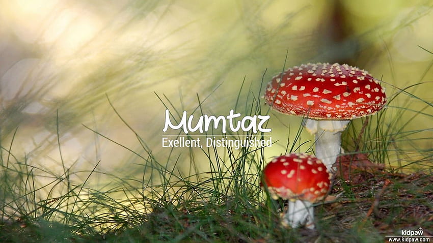 Mumtaz 3D Name for Mobile, Write ممتاز Name on Online HD wallpaper