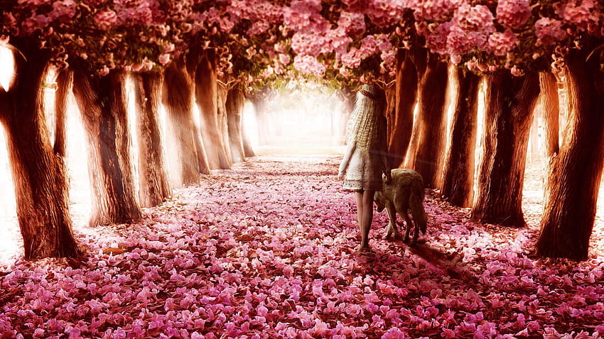 Flower path, paths HD wallpaper | Pxfuel