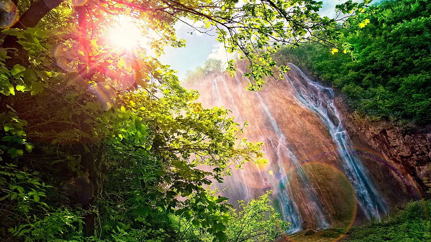 Waterfall, forest, trees, sunshine, glare, beautiful, waterfall forest HD wallpaper