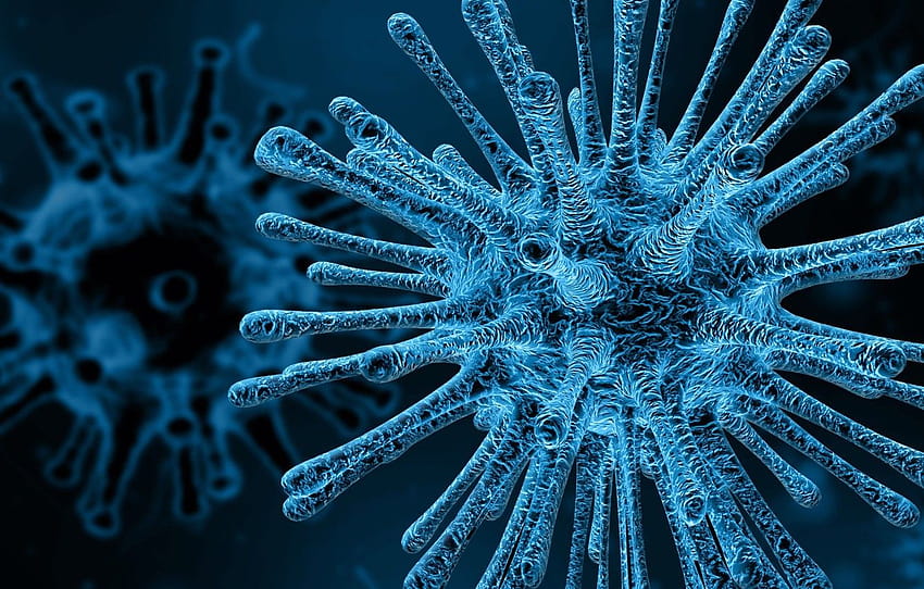 세포, 바이러스, 박테리아, 질병 HD 월페이퍼