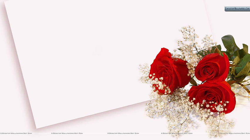 Hochzeitseinladungskarten-Hintergrund-Design HD-Hintergrundbild