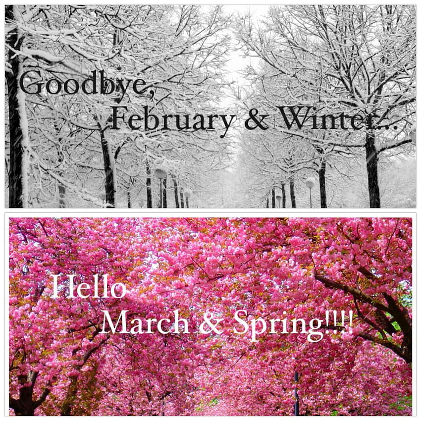 Selamat tinggal Februari & Musim Dingin...Halo Maret & Musim Semi!!!!, selamat tinggal musim dingin, selamat datang musim semi wallpaper ponsel HD
