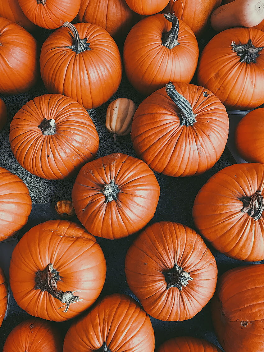 pumpkins fall Halloween backgrounds iPhone android pattern vsco cute, vsco halloween HD phone wallpaper