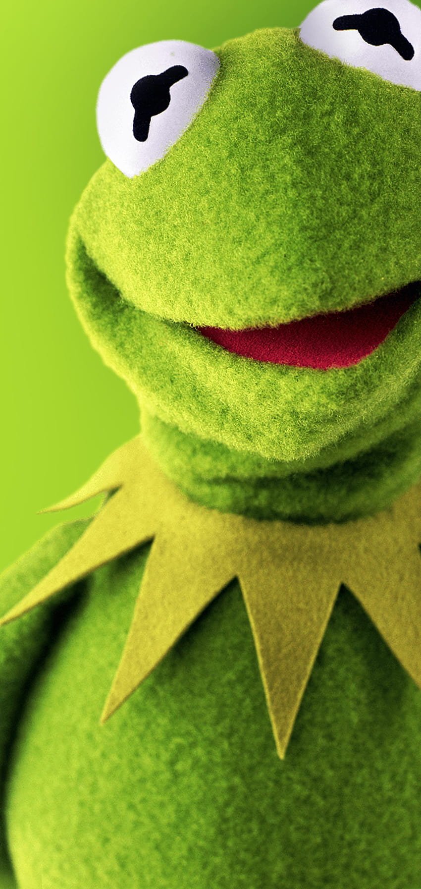 Kermit The Frog Vive, lindo kermit fondo de pantalla del teléfono