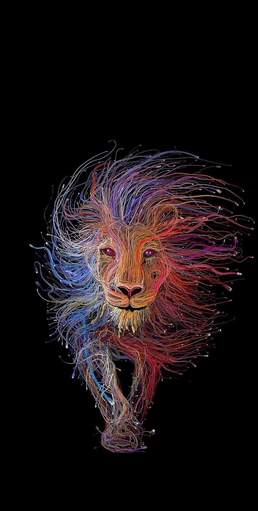 Amoled vivid lion HD phone wallpaper