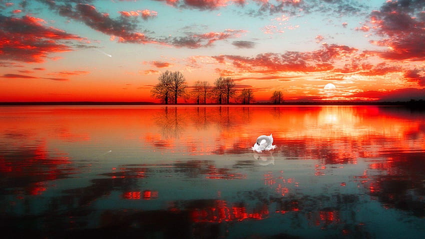 Sunset: Dusk Lake Swan Nature Sunset Macbook for 16:9, 169 HD wallpaper