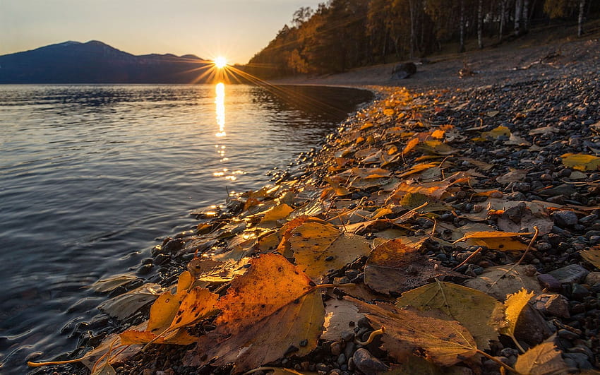 Altai Nature Reserve, Lake Teletskoye, yellow leaves, autumn, sunset, Russia 1920x1200 , autumn sunset over lake HD wallpaper