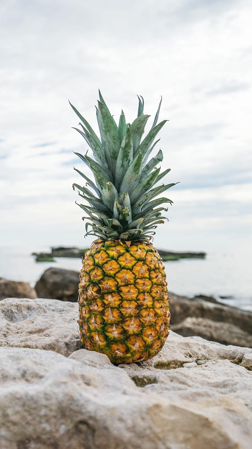 pineapple aesthetic HD phone wallpaper