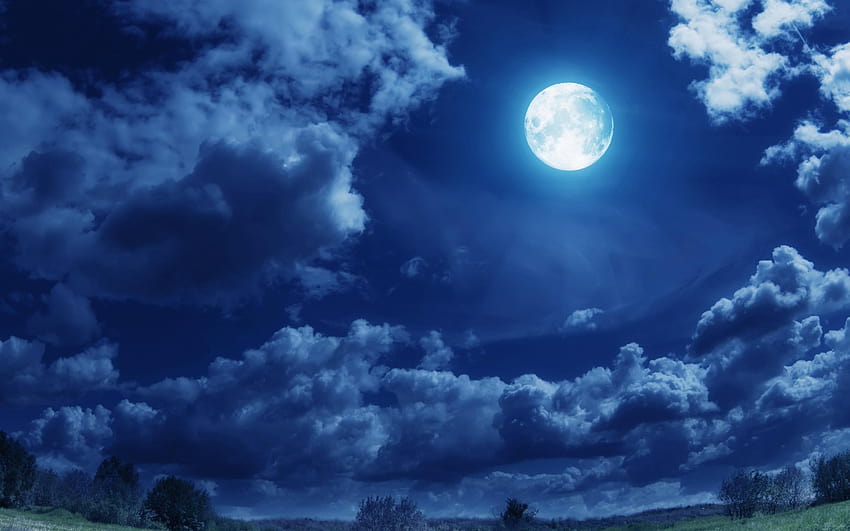 Mondscheinnacht, mondhelle Nacht HD-Hintergrundbild