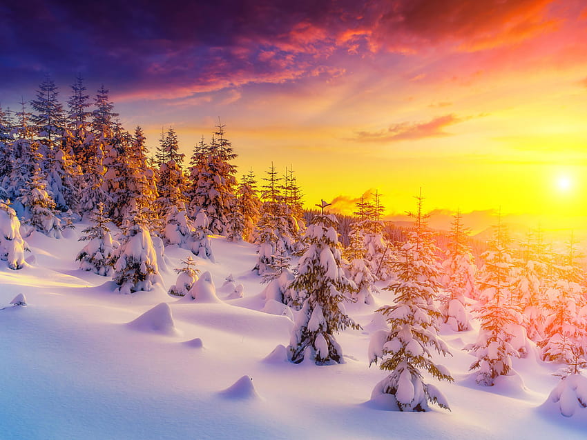 Sunset In Winter Landscape Snow Tree Trees Snowdrops For 3840x2400 : 13 ...