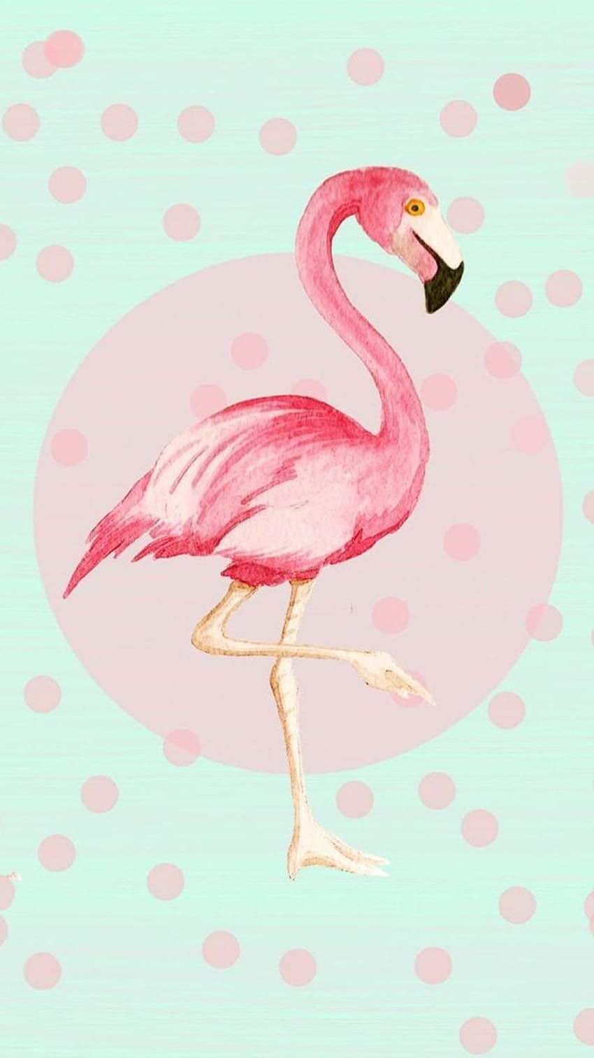 sevimli flamingo HD telefon duvar kağıdı