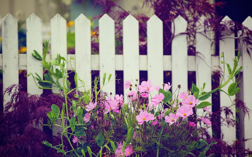 4 Flower Garden, garden fence HD wallpaper