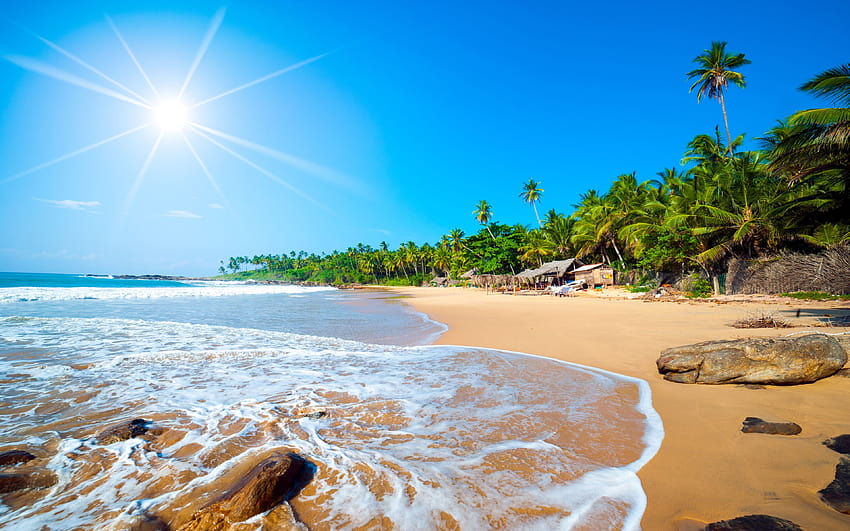 Playa exótica de Sri Lanka Jaffna Bosque tropical Palmeras Olas oceánicas, playa exótica panda fondo de pantalla