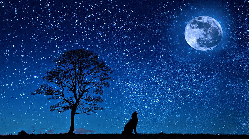 Wolf Howling at Full Moon Ultra, serigala melolong Wallpaper HD