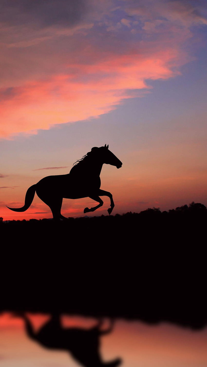 Iphone Red Horse, cheval de coucher de soleil esthétique Fond d'écran de téléphone HD