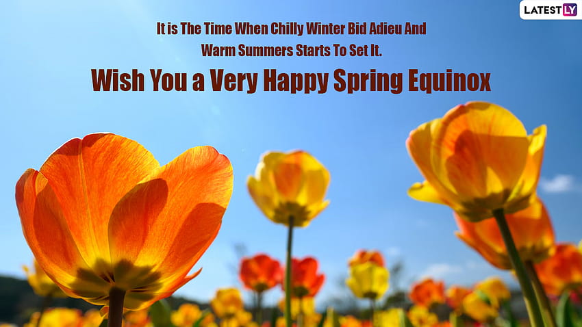 Поздрави за пролетното равноденствие 2022 г. и честит първи ден на пролетта: положителни цитати, топли пожелания, съобщения, прекрасни думи и мисли за посрещане на новия сезон, честита пролет 2022 г. HD тапет